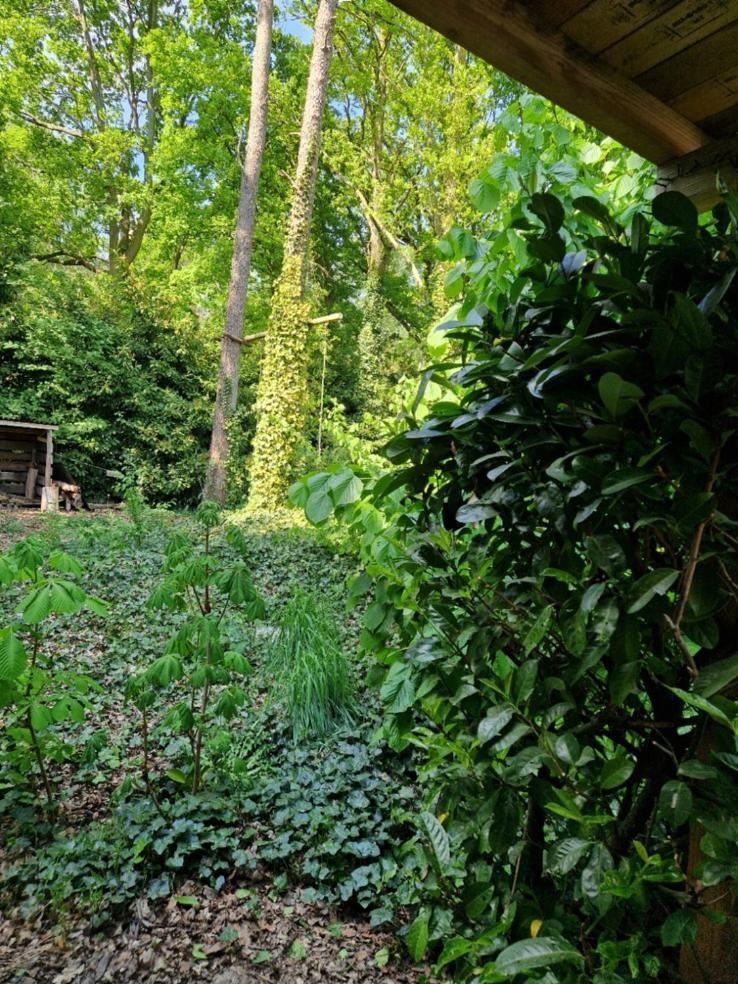 Benb Op De Vleet Vrijstaande Accommodatie Plantage Centrum Εξωτερικό φωτογραφία